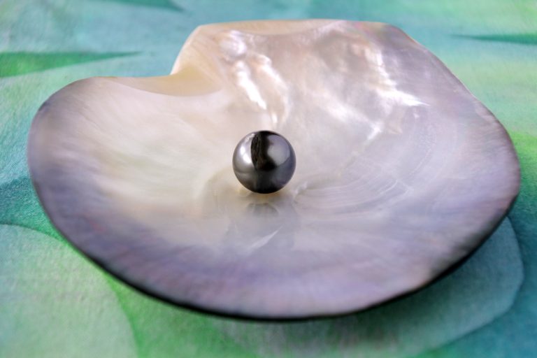 the pearl of great price