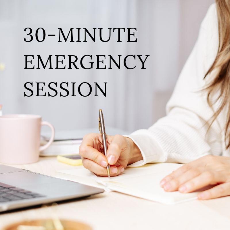 30-Minute Emergency Coaching Session